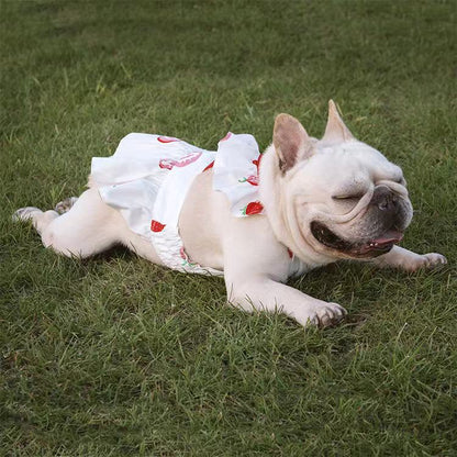 Dog Strawberry Dress Skirt for Medium Dogs - Frenchiely