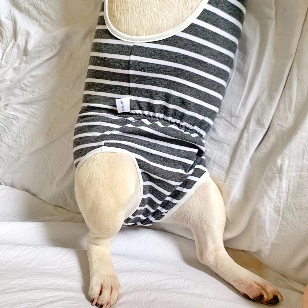 Striped Dog Period Panties Pants - Frenchiely