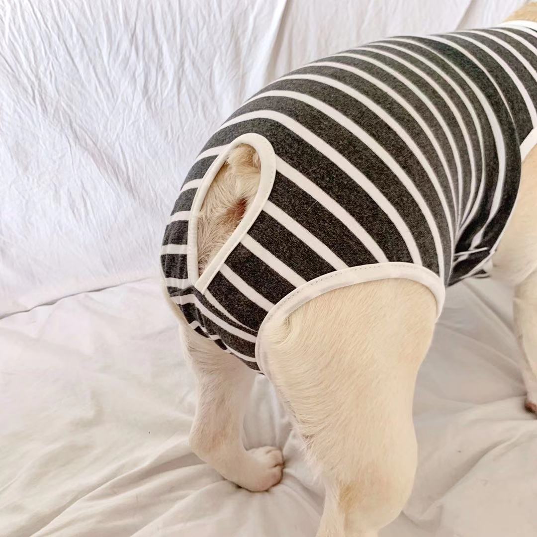 Striped Dog Period Panties Pants - Frenchiely