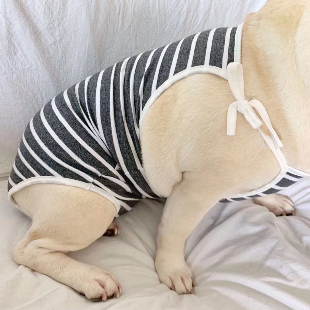 Striped Dog Period Panties Pants - Frenchiely
