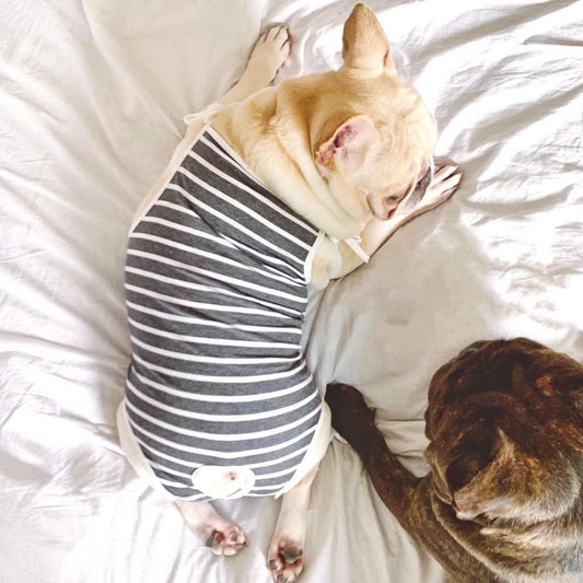 Striped Dog Period Panties Pants - Frenchiely