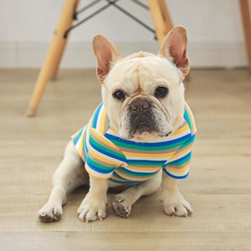 french bulldog Rainbow outerwear Shirts - Frenchiely