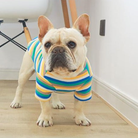 french bulldog Rainbow outerwear Shirts - Frenchiely