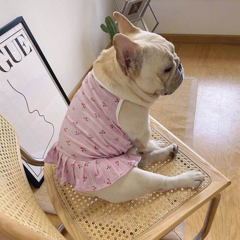 Dog Summer Cotton Dress for medium sized dogs by Frenchiely 