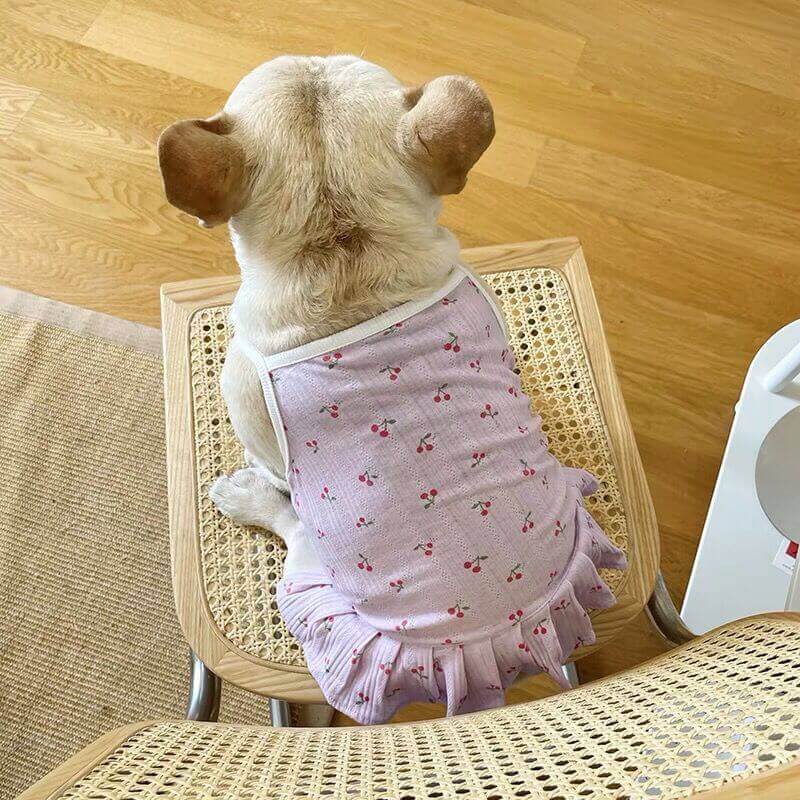 Dog Summer Cotton Dress for medium sized dogs by Frenchiely 