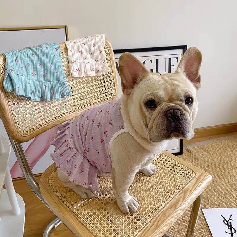 Dog Summer Cotton Dress for medium sized dogs by Frenchiely 
