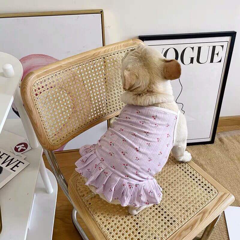 Dog Summer Cotton Dress for medium sized dogs by Frenchiely 