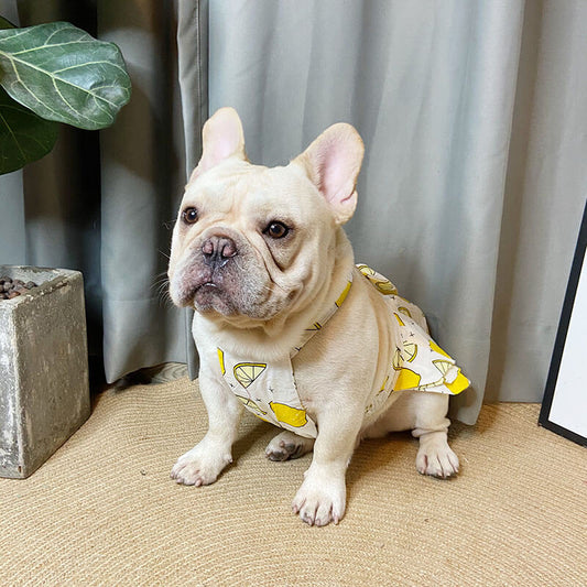 Cute Dog Dress for Medium Dogs - Frenchiely