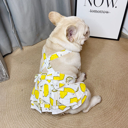 Cute Dog Dress for Medium Dogs - Frenchiely