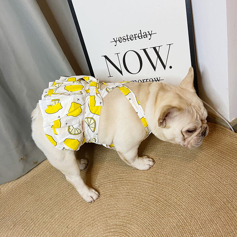 Cute Dog Dress for Medium Dogs - Frenchiely