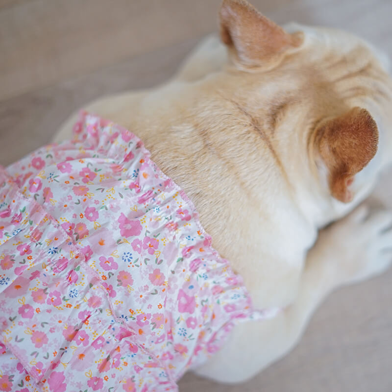 Dog Pink Floral Dress for medium french bulldogs by Frenchiely