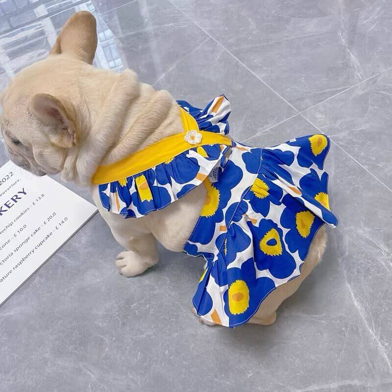 Dog Blue Floral Dress by Frenchiely.com