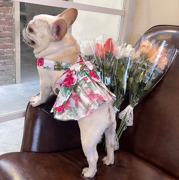 Dog Red Floral Dress - Frenchiely