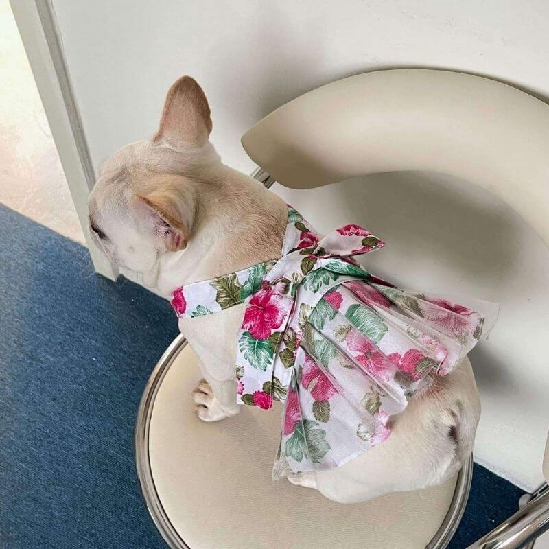 Dog Red Floral Dress FOR FRENCH BULLDOGS BY FRENCHIELY 