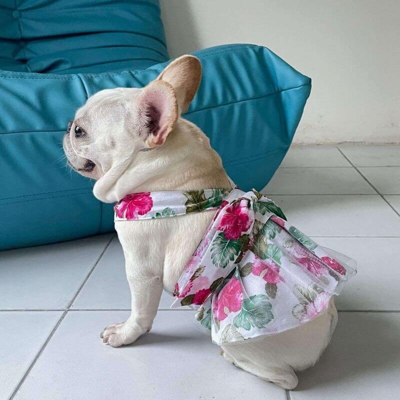 Dog Red Floral Dress FOR FRENCH BULLDOGS BY FRENCHIELY 