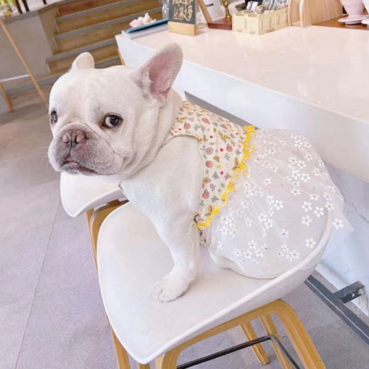 Yellow Floral Dress Frenchielydogsummerlacefruitsdressformediumdog05
