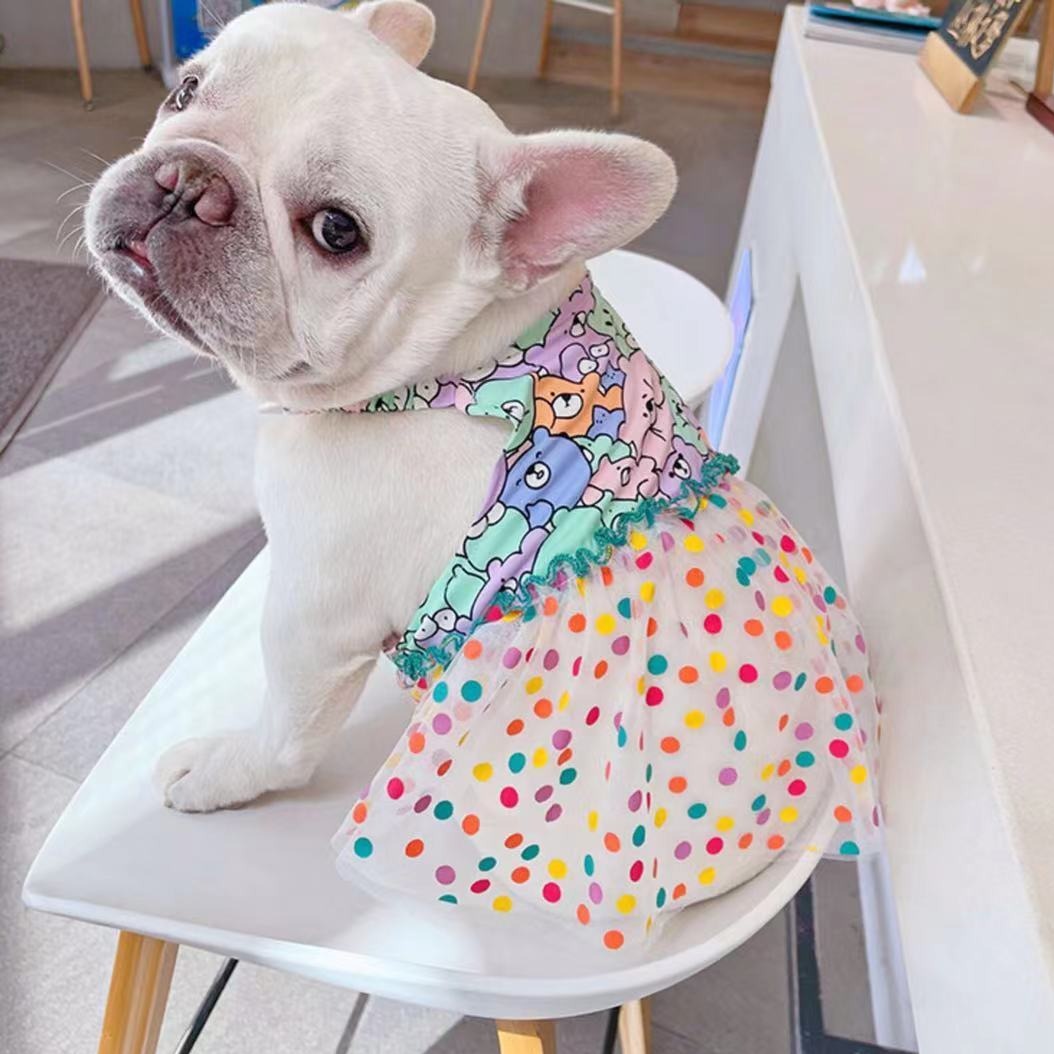 Dog Lace Polka Summer Dress for french bulldogs 0