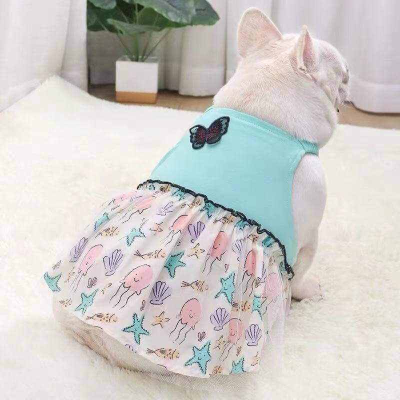 Dog Summer Lace Blue Dress with Butterfly by Frenchiely 