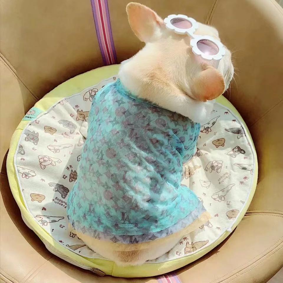 French Bulldog Summer Sun Gear - Frenchiely