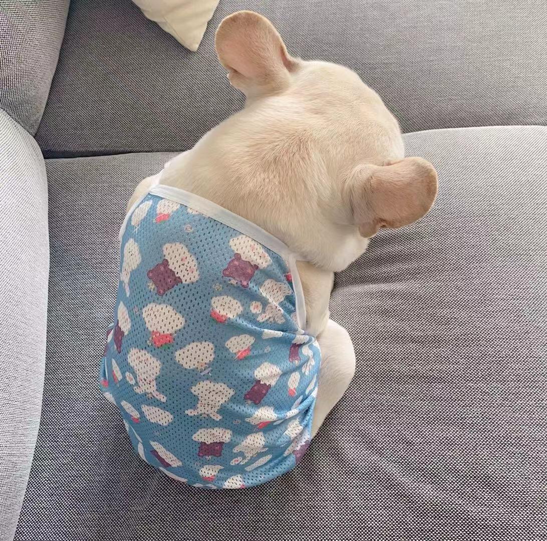 Dog Summer Mesh Stretchy Shirt- Frenchiely
