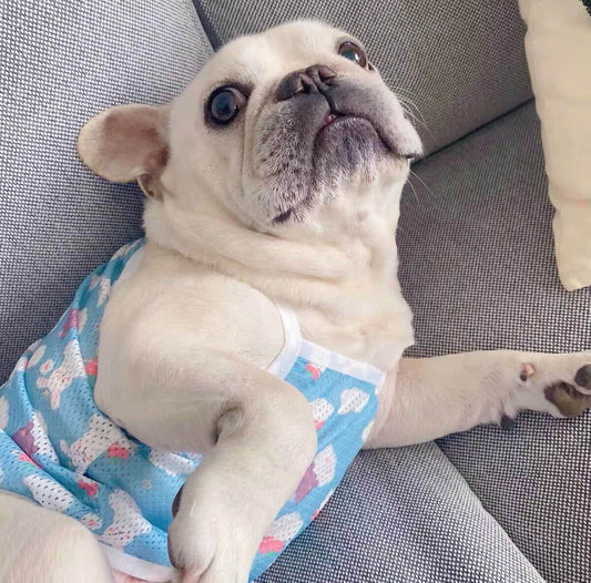 Dog Summer Mesh Stretchy Shirt- Frenchiely