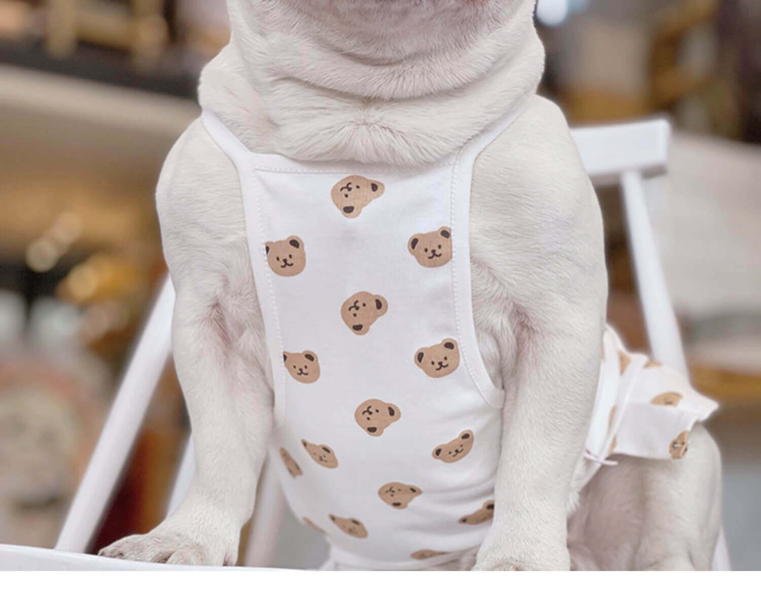 Dog Cotton Bear Dress for Small Medium Dogs by Frenchiely