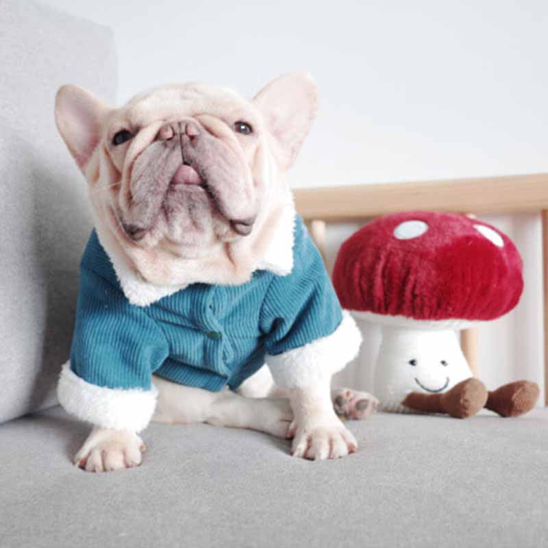 Dog Winter Jacket Coat with Fur Collar - Frenchiely