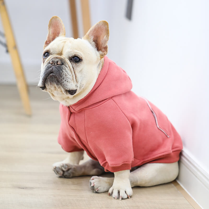 Super Warm Dog Winter Jacket Coat - Frenchiely