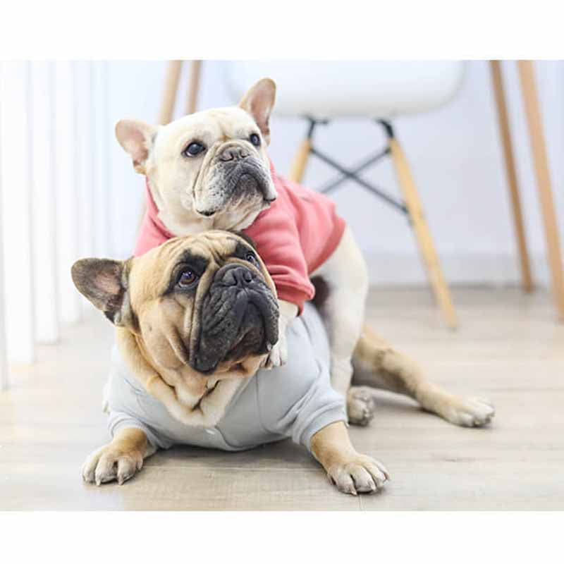 Super Warm Dog Winter Jacket Coat - Frenchiely