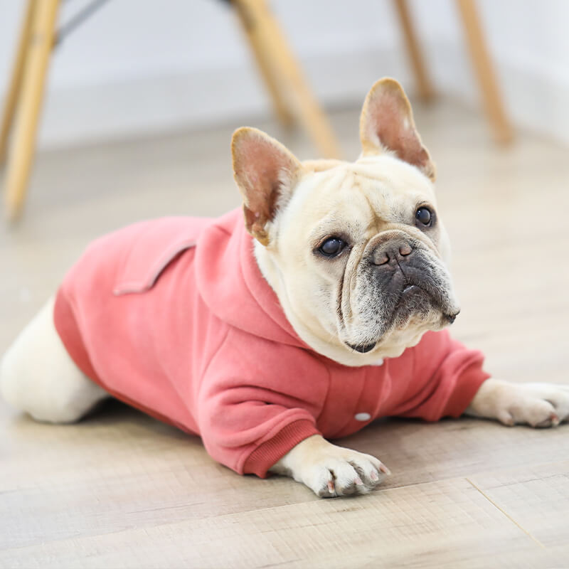 Super Warm Dog Winter Jacket Coat - Frenchiely