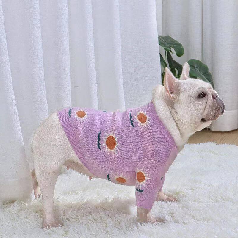 dog purple daisy sweaters for french bulldogs - Frenchiely
