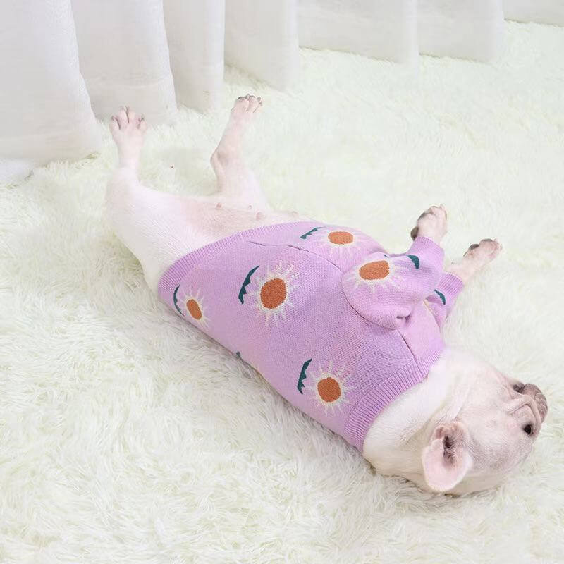 dog purple daisy sweaters for french bulldogs - Frenchiely