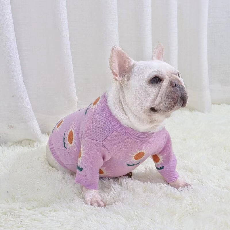 dog purple daisy sweaters for french bulldogs - Frenchiely