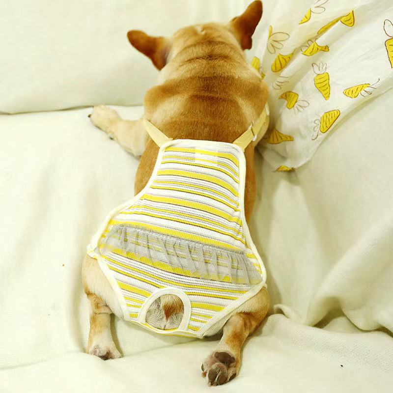 Dog Sanitary Period Panties for Bulldogs - Frenchiely