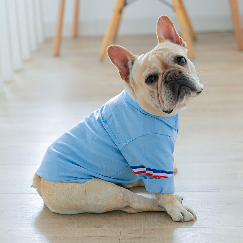 French Bulldog Blue Shirt - Frenchiely