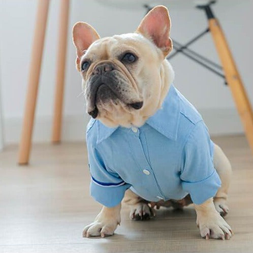 French Bulldog Blue Shirt - Frenchiely