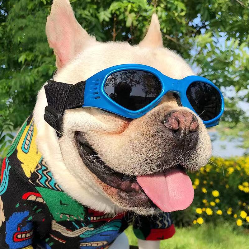 French Bulldog Sunglasses Dog Goggles- Updated Version - Frenchiely