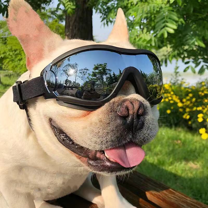 dog in goggles Dog UV Waterproof Dog Goggles Sunglasses for Medium Dogs – Frenchiely