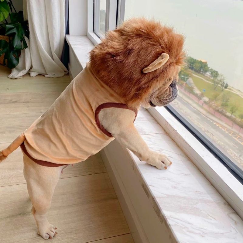 Frenchiely dog halloween lion cotume for small medium dogs