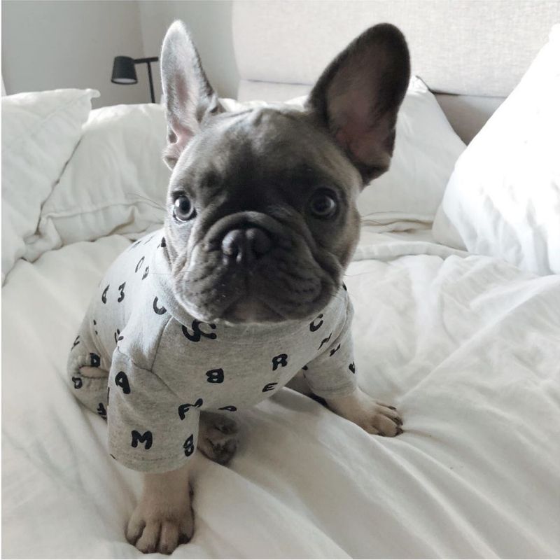 Dog ABC Pajamas