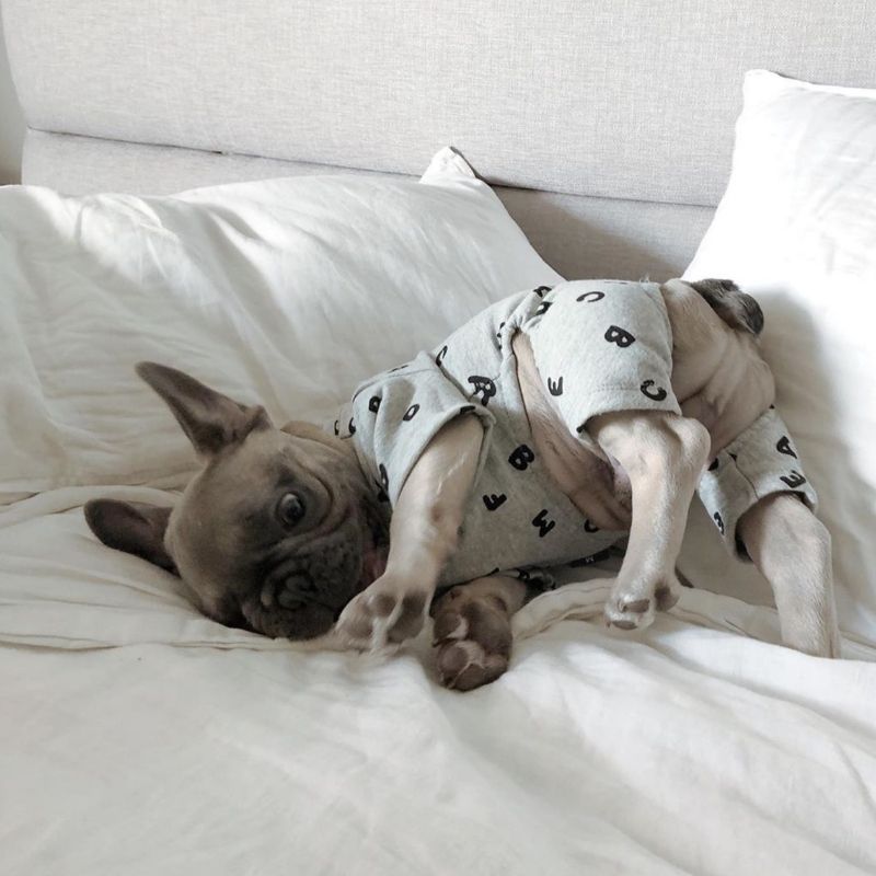 Dog ABC Pajamas - Frenchiely