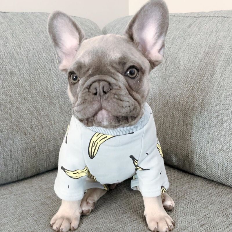 Dog Banana Pajamas