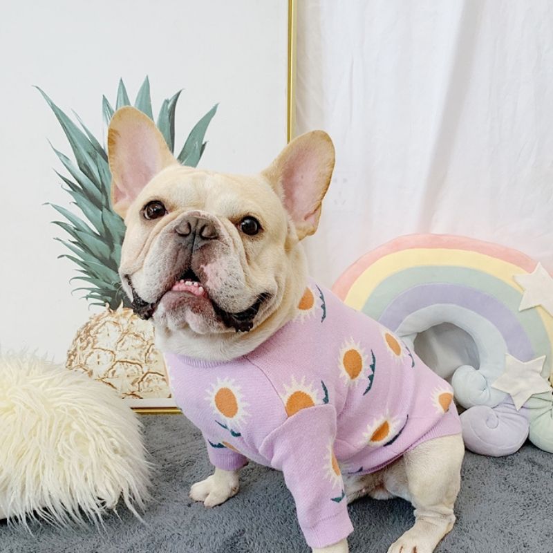 dog purple daisy sweaters for french bulldogs