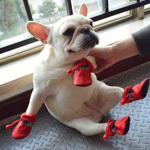 Dog Rain Snow Boots Shoes for Medium Dogs- Frenchiely