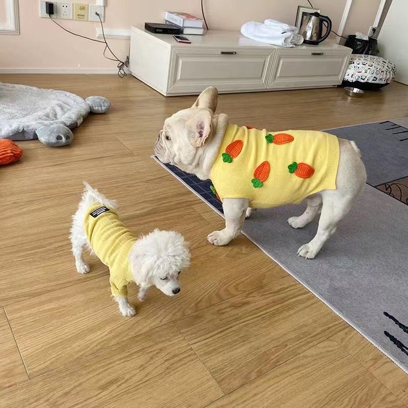 French Bulldog Winter Carrot Sweater Jumper- FRENCHIELY
