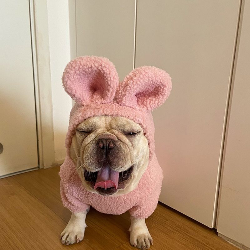 Dog Bunny Hoodie Coat for French Bulldogs by Frenchiely