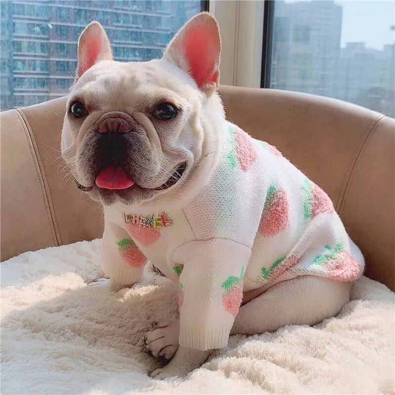 Dog White Peach Sweater Jumper for Frenchies -Frenchiely