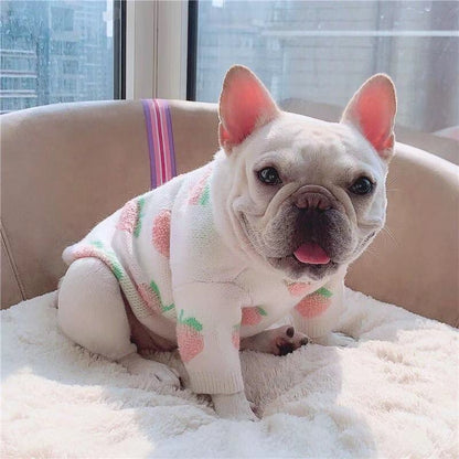 Dog White Peach Sweater Jumper for Frenchies -Frenchiely