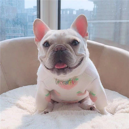 Dog White Peach Sweater Jumper for Frenchies -Frenchiely