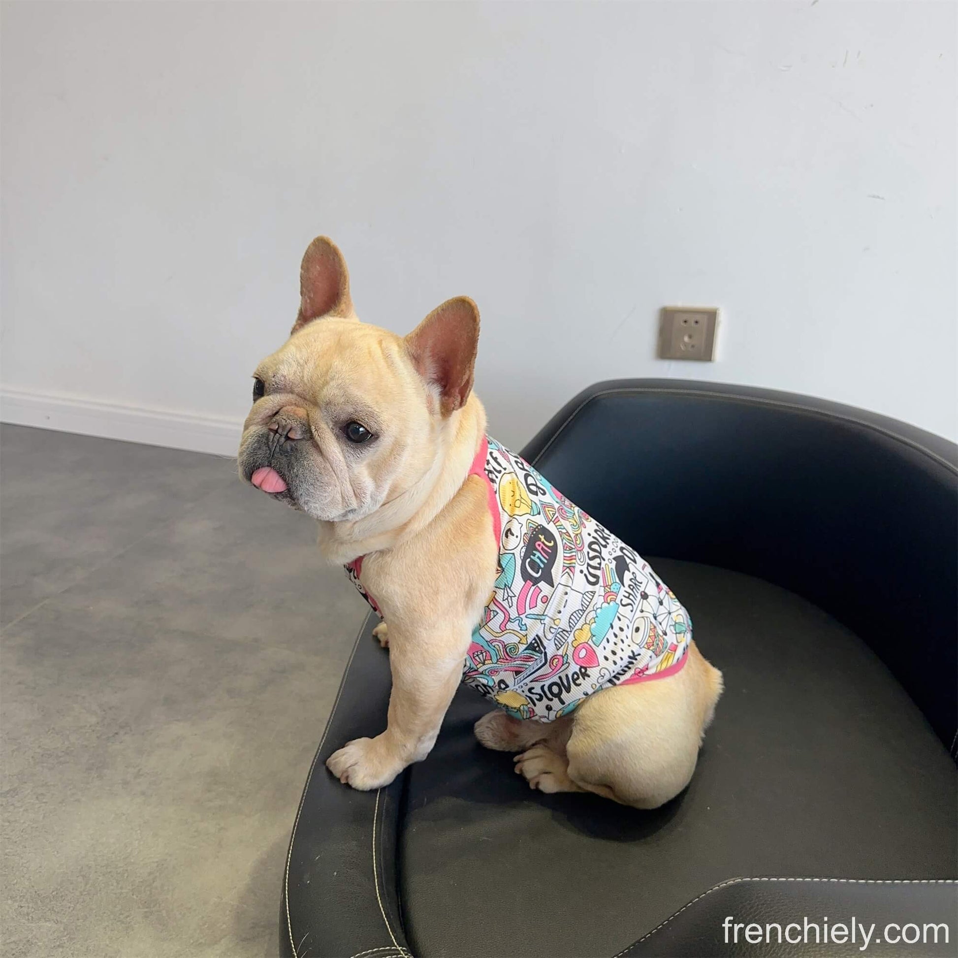 Dog Summer Cooling Mesh Shirt for small medium dogs 